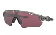 Oakley Radar EV Path Grey Ink/Prizm Road Black