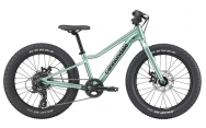 Cannondale Kids Trail Plus 20 Cactus Green