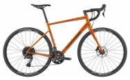 Cannondale Synapse 2 Tiger Eye 