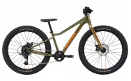 Cannondale Kids Trail Plus 24 Mantis